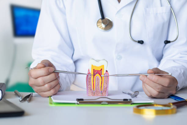 Best Emergency Care for Gum Disease in Coudersport, PA
